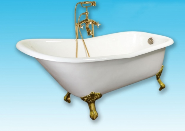 Чугунная ванна Elegansa Schale золотые ножки фото 2