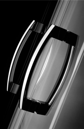 Душевая дверь в нишу Radaway Premium Plus DWD 160 прозрачное стекло фото 9