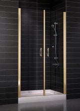 Душевая дверь в нишу Vegas Glass E2P 0070 05 01 стекло прозрачное, 70