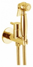 Гигиенический душ Webert EL870303010ANTIC со смесителем, золото