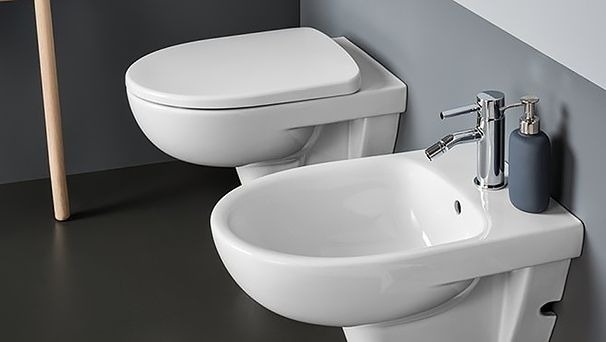 Комплект Geberit Selnova 458.124.21.1-500.265 унитаз + инсталляция + кнопка фото 3