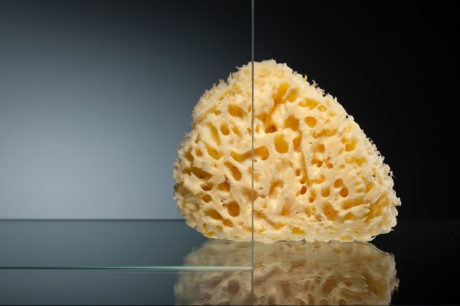 Душевая дверь в нишу Vegas Glass ZP 0110 01 01 стекло прозрачное, 110 фото 2