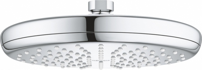Верхний душ Grohe Tempesta 26408000 фото 1