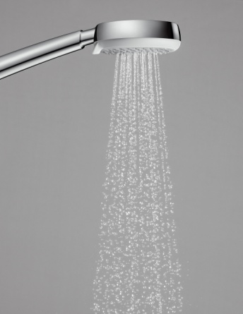 Душевая лейка Hansgrohe Crometta 100 Vario фото 5