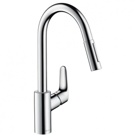 Hansgrohe Focus для кухонной мойки фото 1