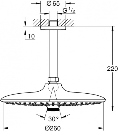 Верхний душ Grohe Euphoria SmartControl 26460000 фото 2