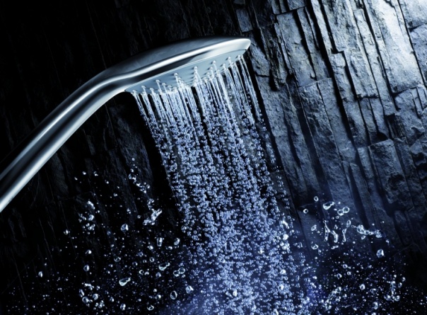 Душевая лейка Grohe Euphoria фото 2