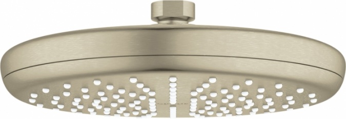 Верхний душ Grohe Tempesta 26410EN0 фото 1