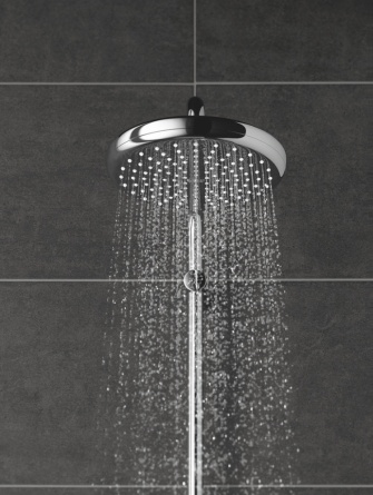 Верхний душ Grohe Tempesta 26408000 фото 3