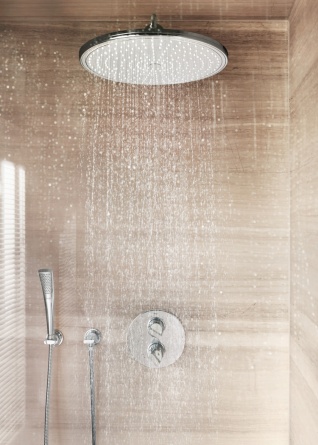 Душевая лейка Grohe Ondus Stick фото 5