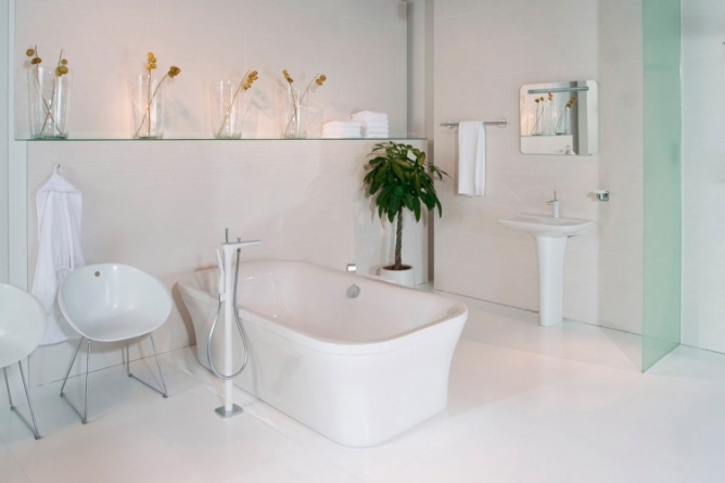 Душевая лейка Hansgrohe PuraVida фото 3