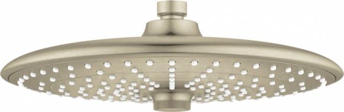 Верхний душ Grohe Euphoria SmartControl 26457EN0 фото 1