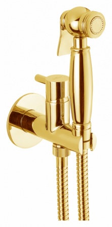 Гигиенический душ Webert EL870303010ANTIC со смесителем, золото фото 1