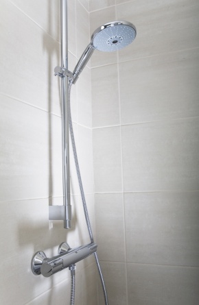 Душевая лейка Grohe Rainshower Classic фото 3