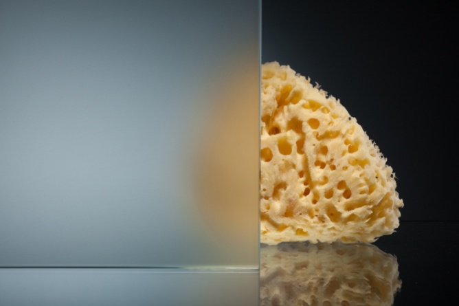 Душевая дверь в нишу Vegas Glass ZP 0105 08 10 стекло сатин, 105 фото 2