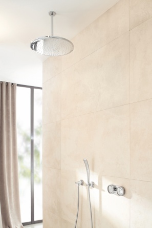 Душевая лейка Grohe Ondus Stick фото 9