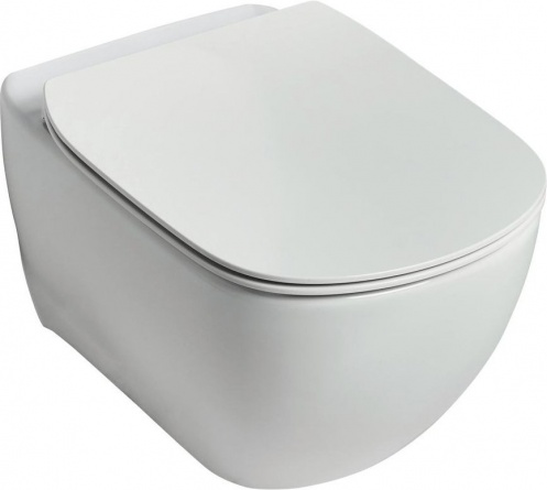 Комплект Ideal Standard Tesi T355101PT15 фото 5