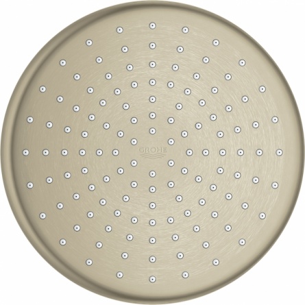 Верхний душ Grohe Tempesta 26410EN0 фото 2