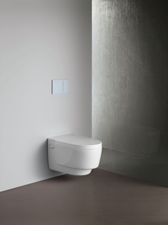 Унитаз подвесной Geberit AquaClean Mera Classic 146.204.11.1 альпийский белый фото 8
