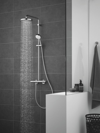 Верхний душ Grohe Tempesta 26408000 фото 2