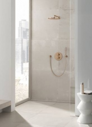 Верхний душ Grohe Rainshower 26066DL0 фото 2