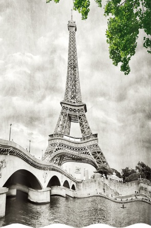 Штора для ванной Iddis Paris Days фото 1