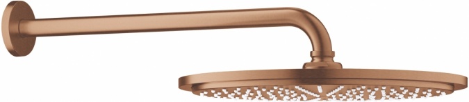 Верхний душ Grohe Rainshower 26066DL0 фото 1