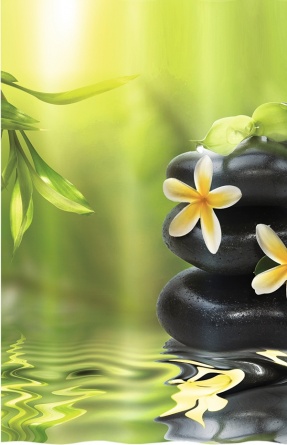 Штора для ванной Iddis Spa Therapy фото 1